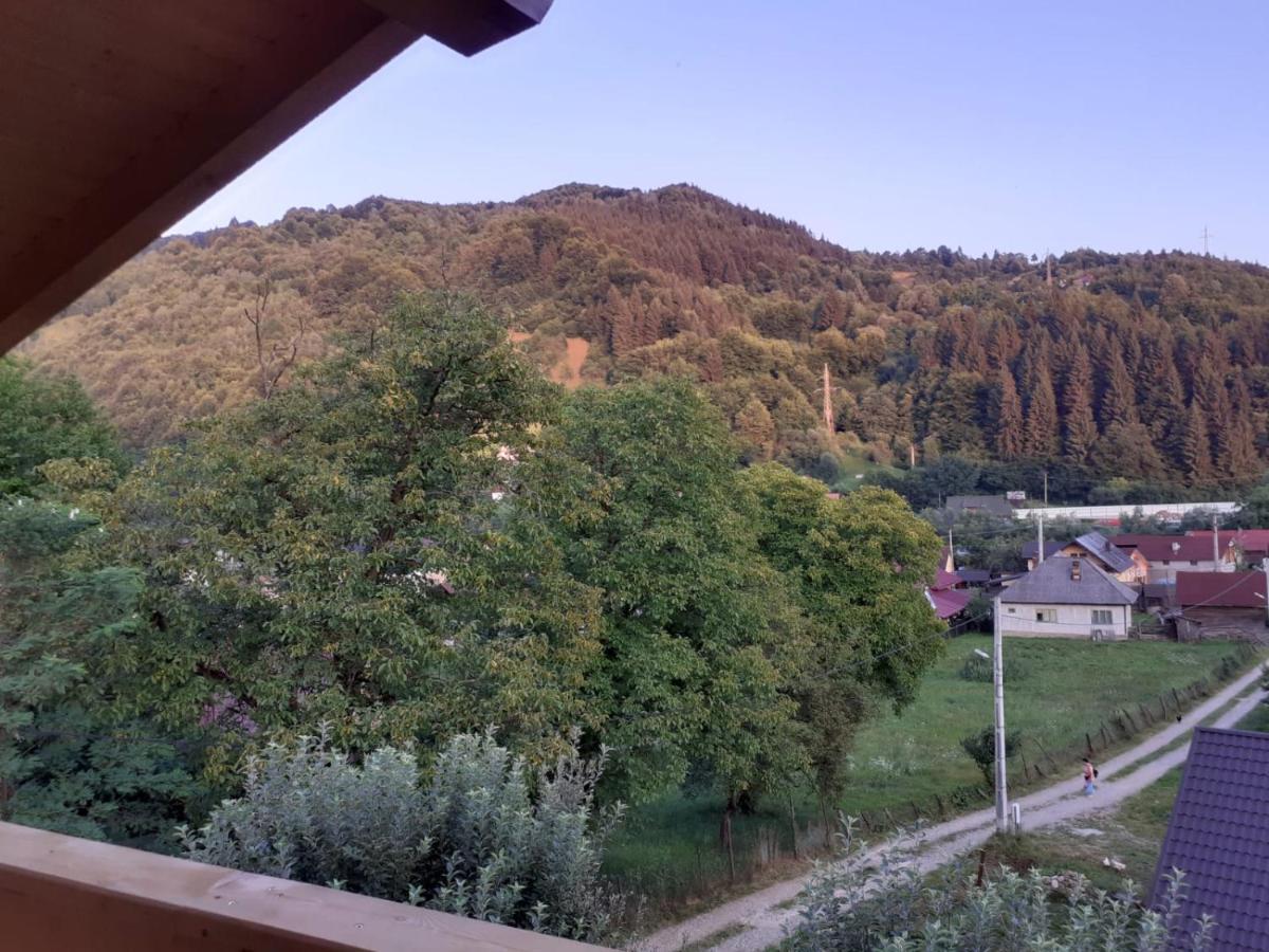 Casa Mara Viseu De Sus Hotell Eksteriør bilde