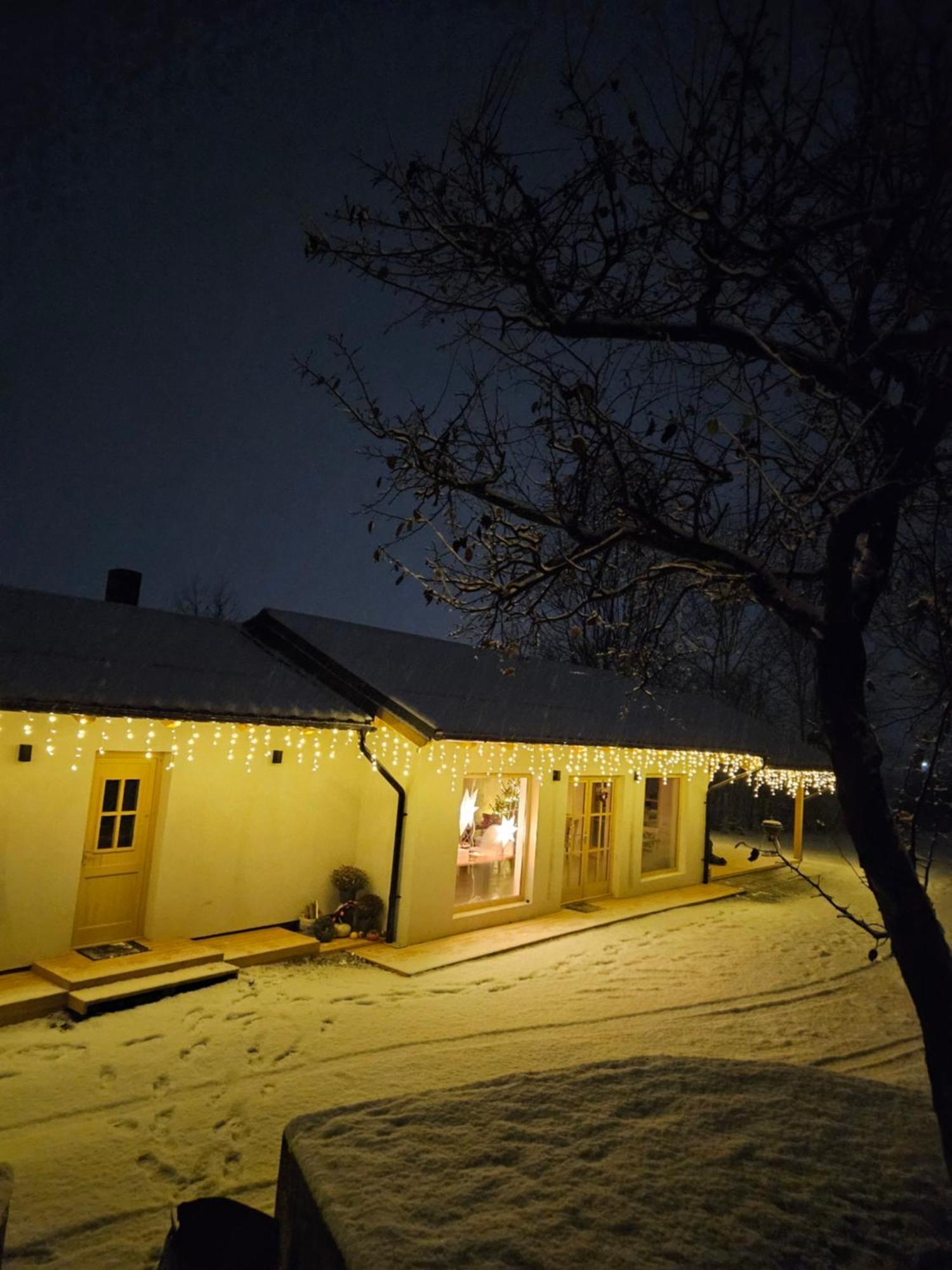 Casa Mara Viseu De Sus Hotell Eksteriør bilde