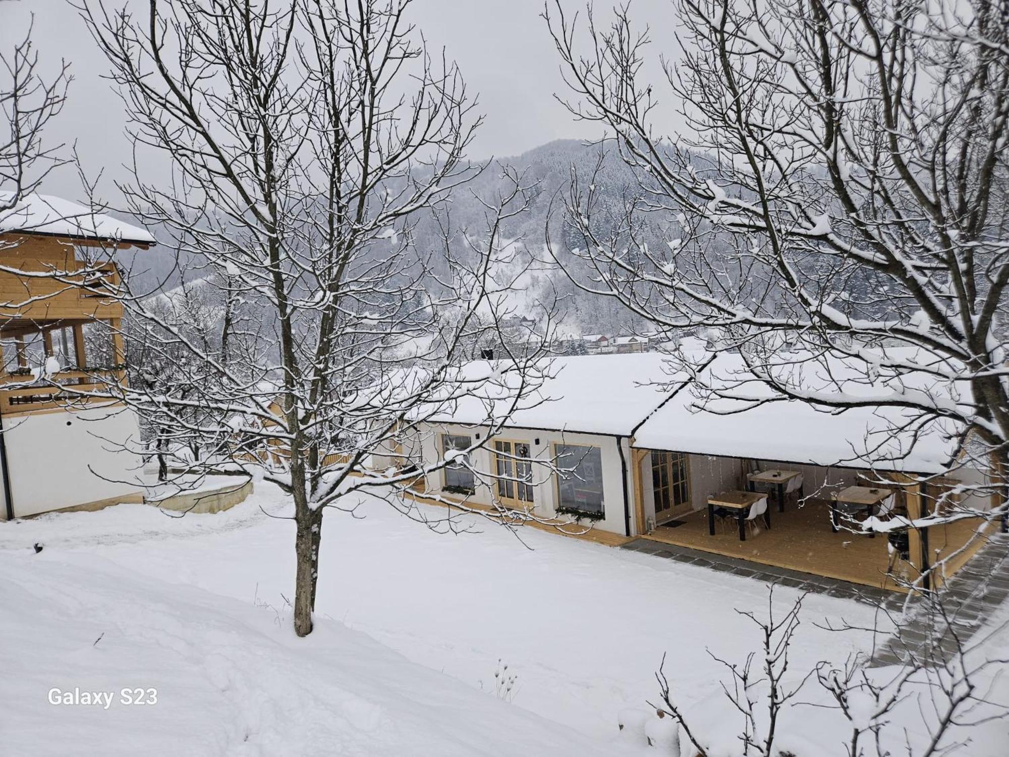 Casa Mara Viseu De Sus Hotell Eksteriør bilde