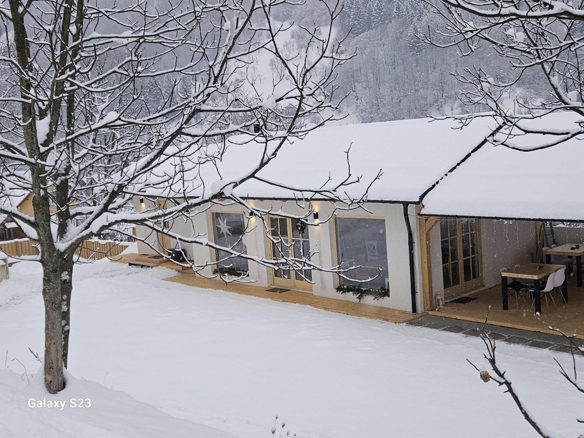 Casa Mara Viseu De Sus Hotell Eksteriør bilde