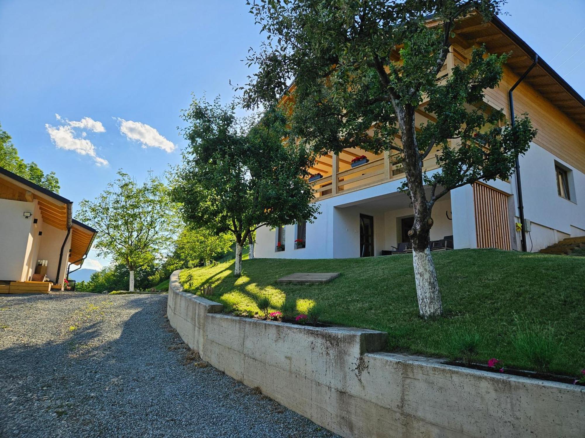 Casa Mara Viseu De Sus Hotell Eksteriør bilde